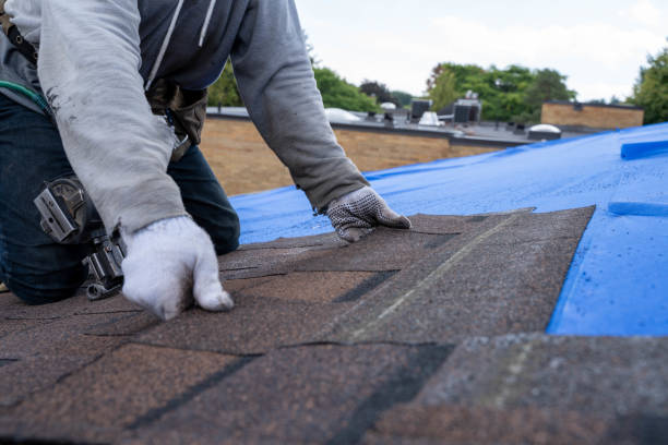 Quick and Trustworthy Emergency Roof Repair Services in Rocky Mount, NC