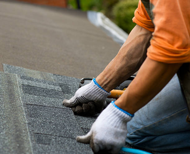 Best Roof Leak Repair  in Rocky Mount, NC