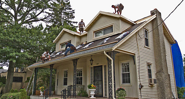 Best Metal Roofing Contractor  in Rocky Mount, NC