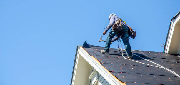 Best Roof Maintenance Services  in Rocky Mount, NC